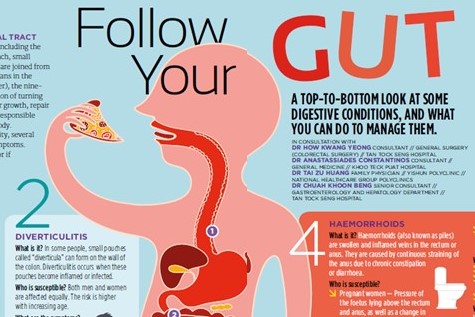 ELEVATE-GASTRO-Follow-your-gut